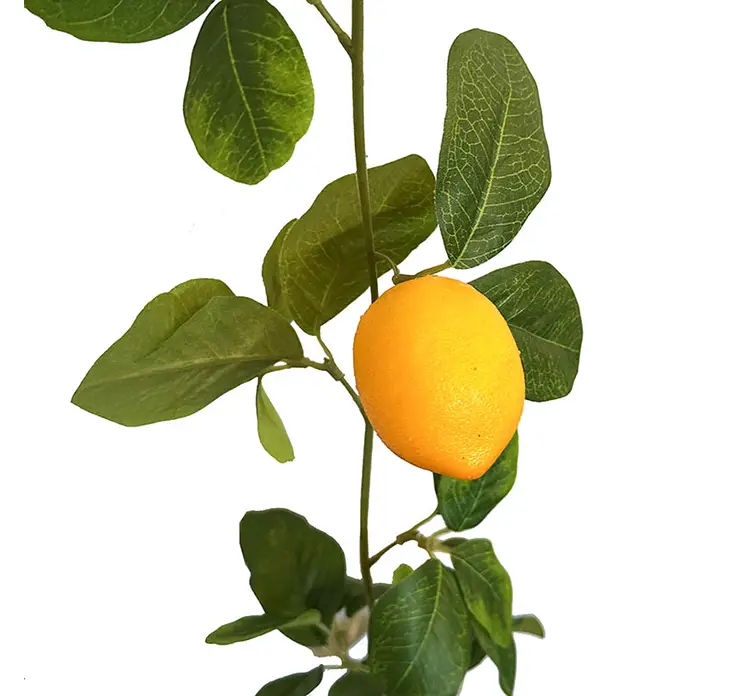 Citronranke kunstig af plast i grøn med gule citroner 180cm closeup