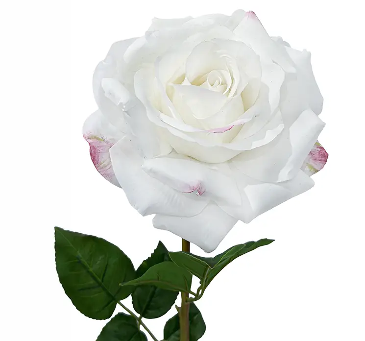 Rose på stilk Chloe af plast i hvid real touch 68cm closeup