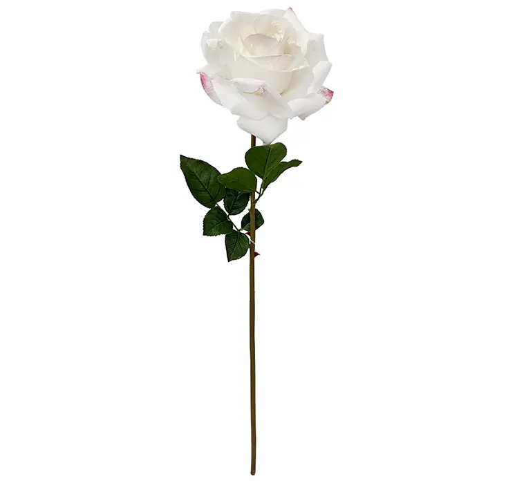 Rose på stilk Chloe af plast i hvid real touch 68cm