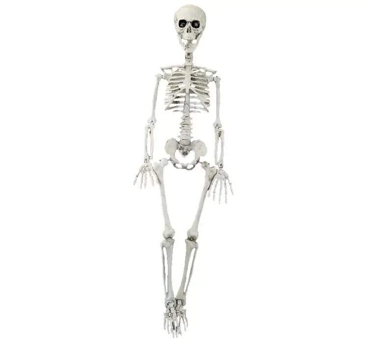 Kunstig skelet i hvid plast, god til Halloween