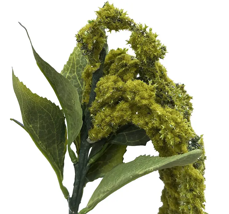 Amarant også kaldet amaranthus på stilk af plast i grøn 120cm closeup