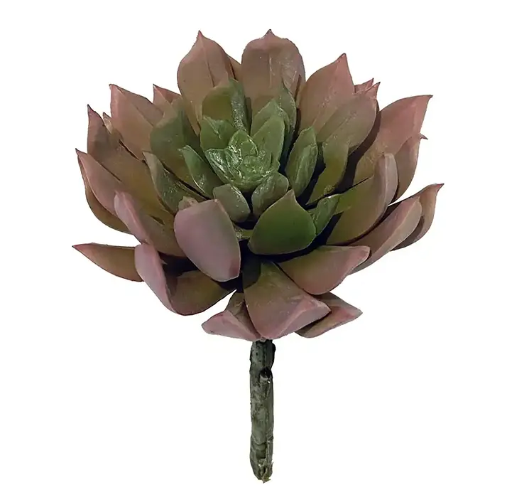 Sukkulent aeonium kunstig gren af plast i grøn