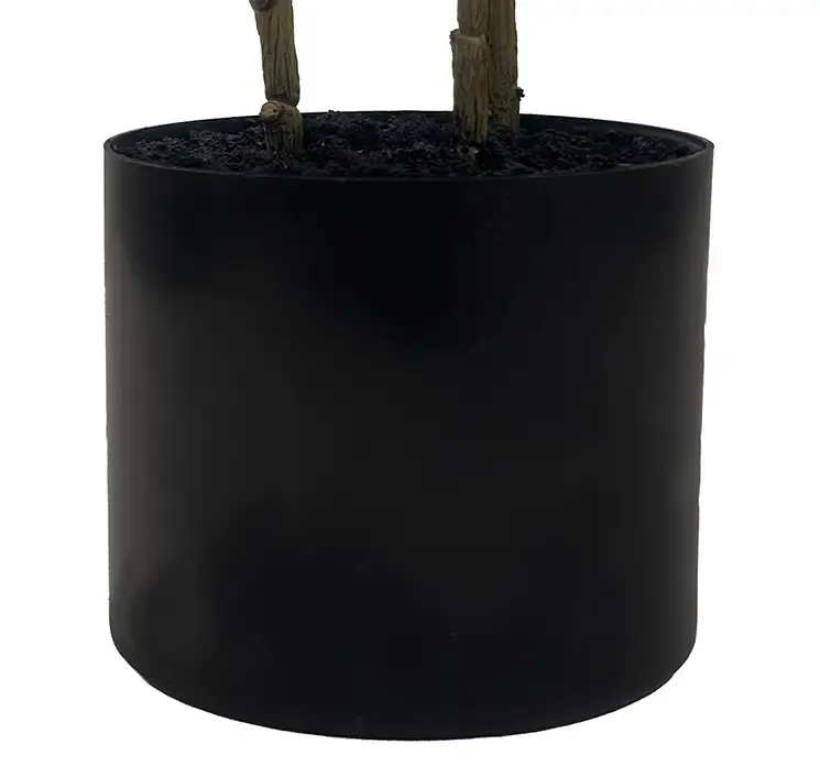 Kunstig araliatræ i sort potte closeup af potte