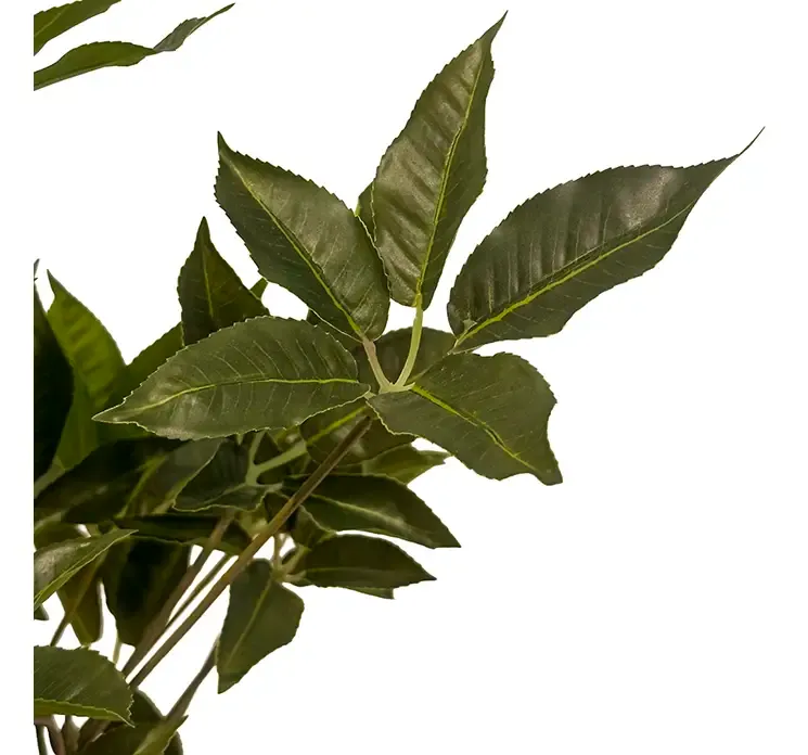 Kunstig aralia træ i sort potte closeup af blade