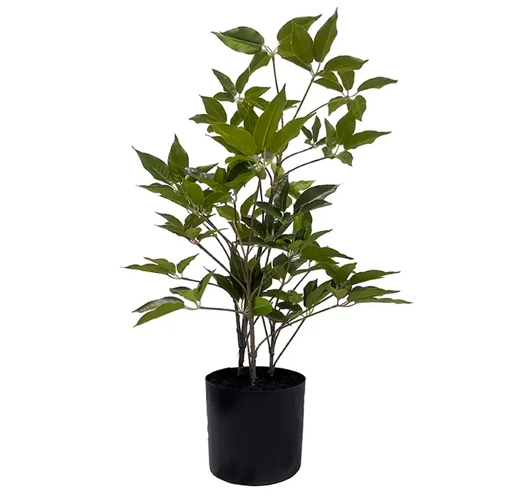 Kunstig aralia træ i sort potte