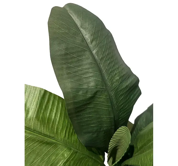 Kunstig banantræ i potte af plast closeup af blade