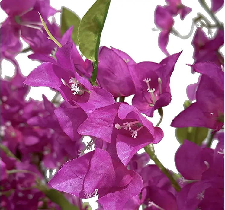 Bourgainvillea i lilla kunstig træ i sort potte af plast 145cm closeup af blomster