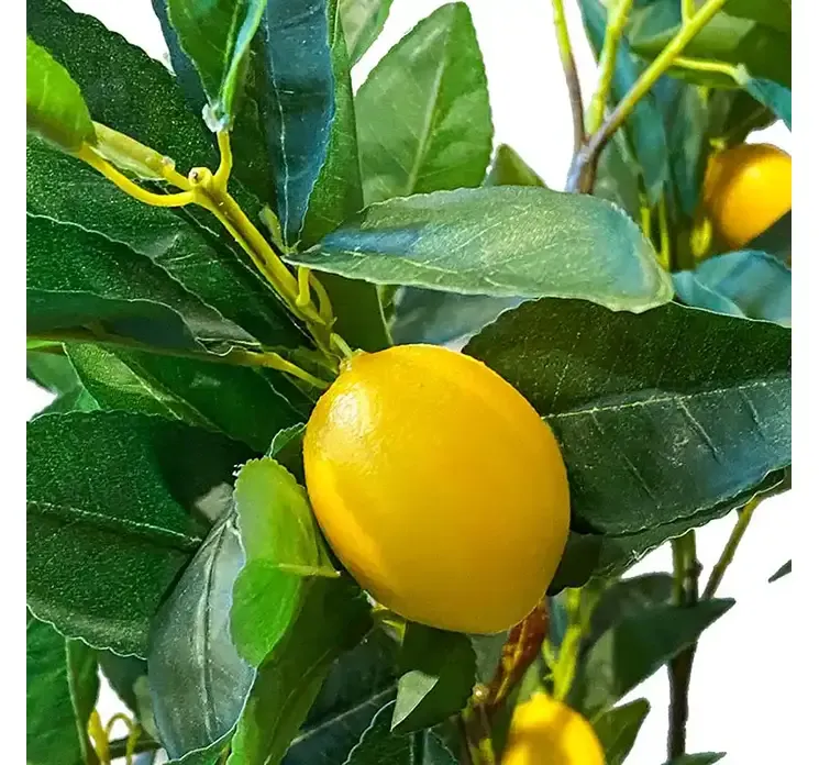 Kunstig citrontræ af plast i sort potte closeup af citroner og blade