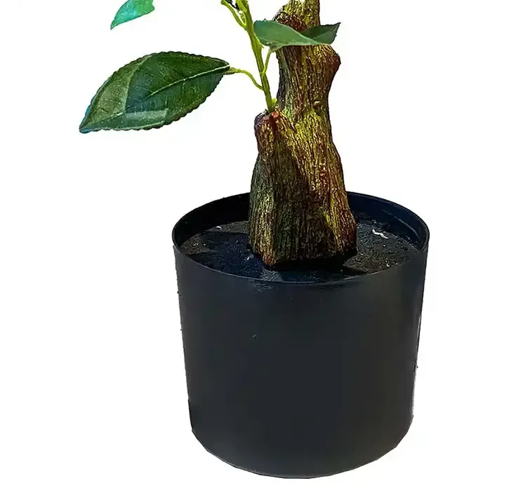 Kunstig citrontræ af plast i sort potte closeup af potte og stamme