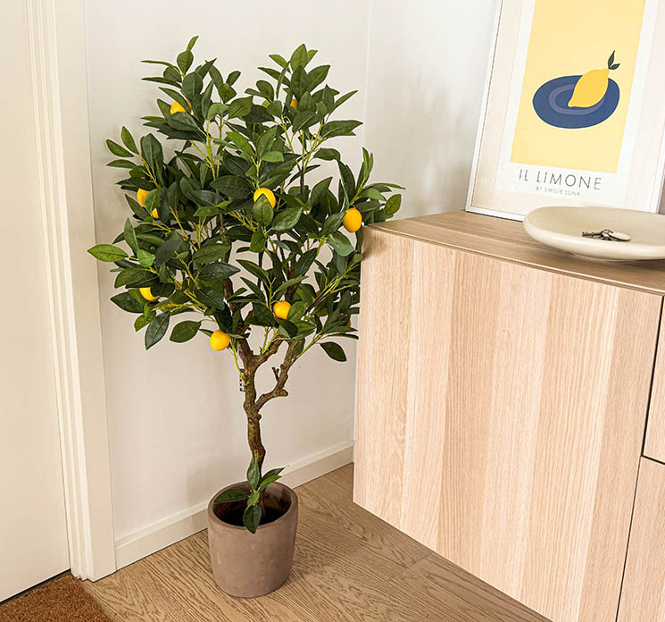 Kunstig citron træ med citroner i sort potte af plast vist i miljø