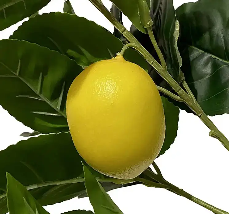 Citrontræ med citroner kunstig af plast i sort potte 150cm closeup