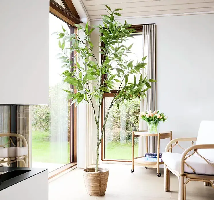 Eukalyptus træ i grøn af plast i sort potte, kunstig plante vist i stuemiljø