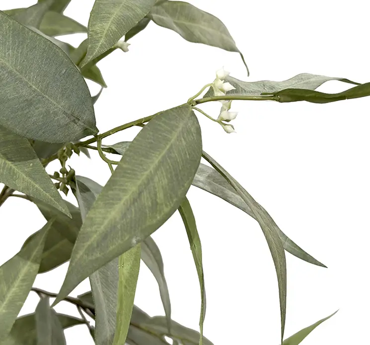 Eukalyptus kunstig træ af plast i grøn i sort potte 195cm closeup