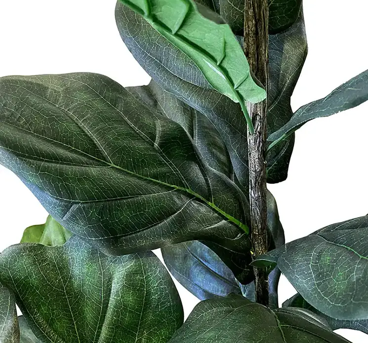 Figen træ kunstig plante af plast i grøn og med sort potte 150cm closeup