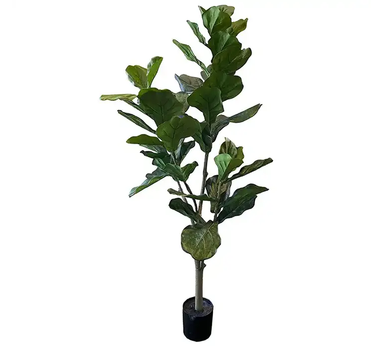 Figen træ kunstig plante af plast i grøn og med sort potte 150cm