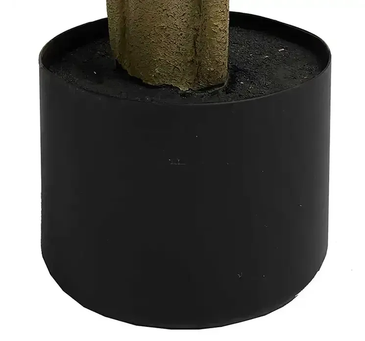 Figentræ i sort potte af plast kunstig plante closeup af potte