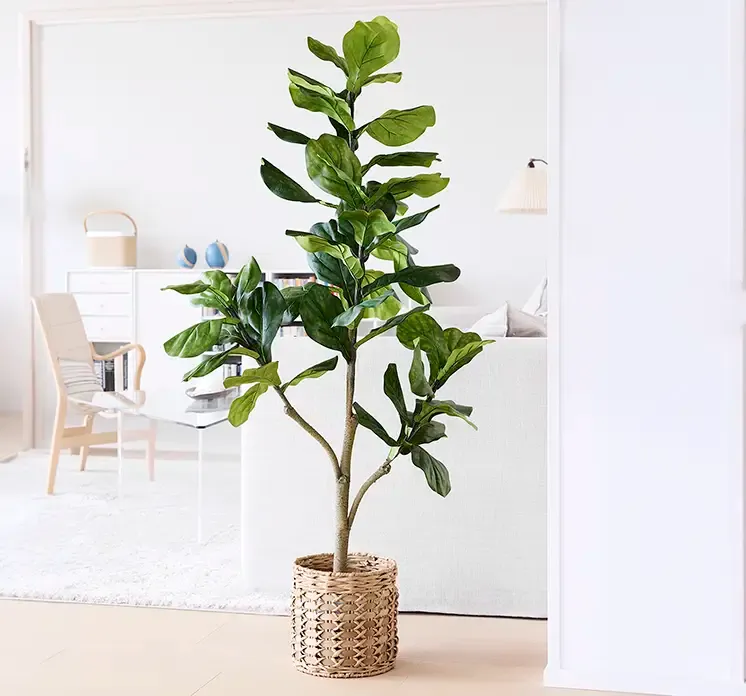 Figentræ af plast i grøn vist i stuemiljø sat i en flet kurv