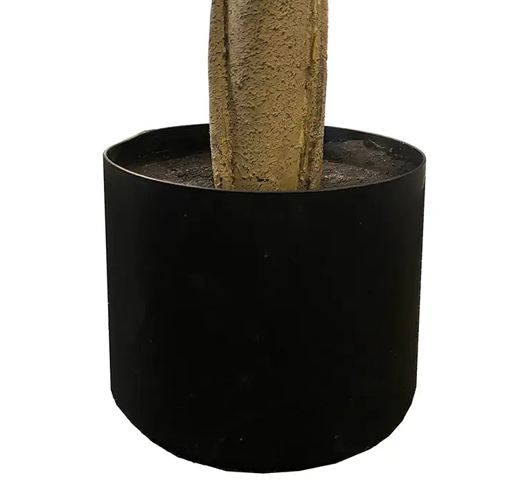 Figen træ også kaldet violinfigen kunstig træ af plast i sort potte 210cm closeup af potte
