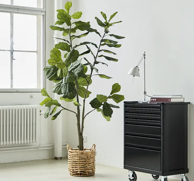 Figen træ også kaldet violinfigen kunstig træ af plast i sort potte 210cm vist i kontor miljø