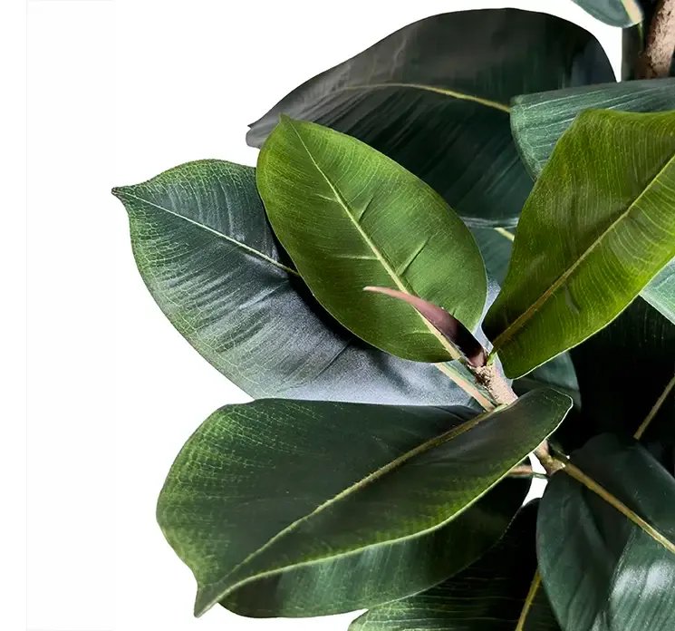 Kunstige figen træ i sort potte, meget naturtro closeup