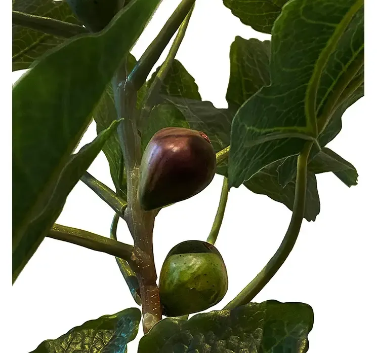 Kunstig figen træ med figner sat i sort potte closeup af figner og blade