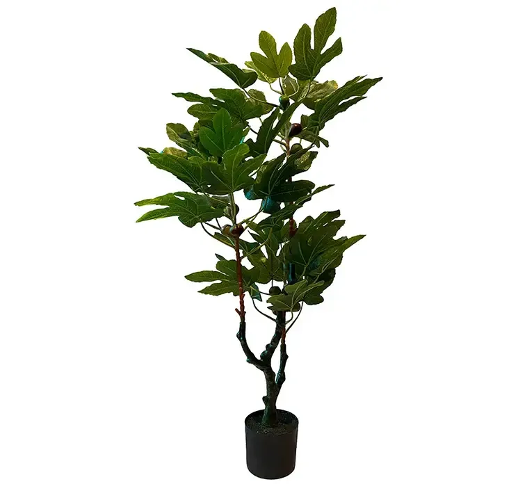 Kunstig figen træ med figner sat i sort potte