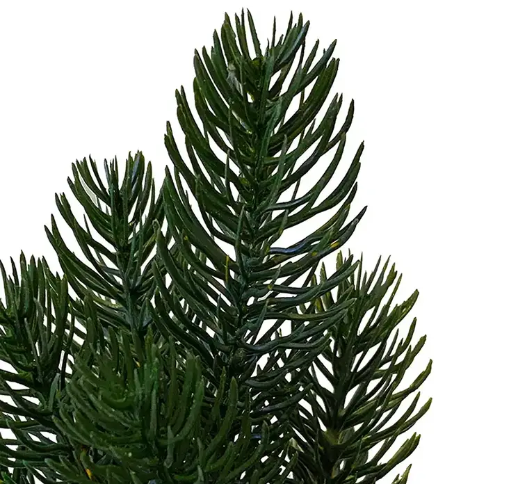 Grantræ i sort potte kunstig af plast i grøn nisse 42cm closeup