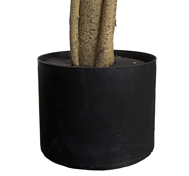 Gummitræ kunstig også kaldet ficus elastica i grøn med sort potte closeup af potte