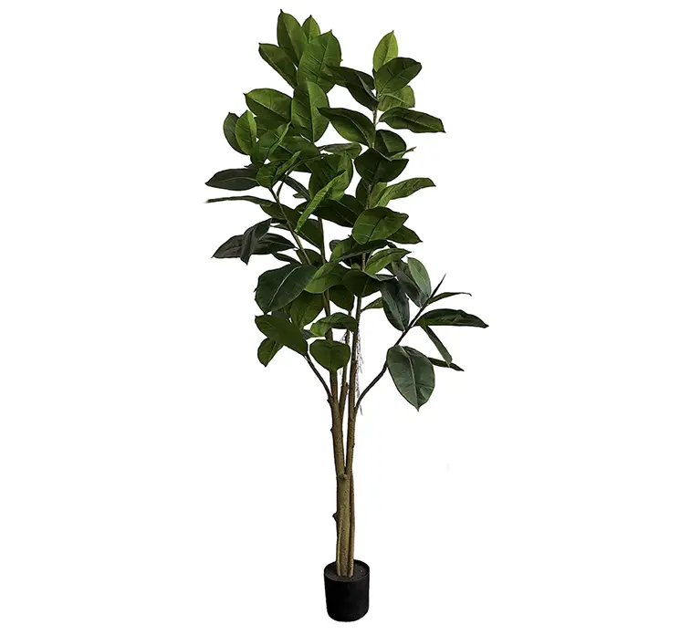 Gummitræ kunstig også kaldet ficus elastica i grøn med sort potte