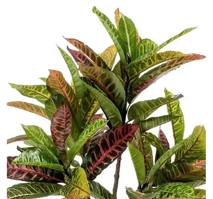 Kunstig krotontræ i sort potte af plast og med farvede blade closeup