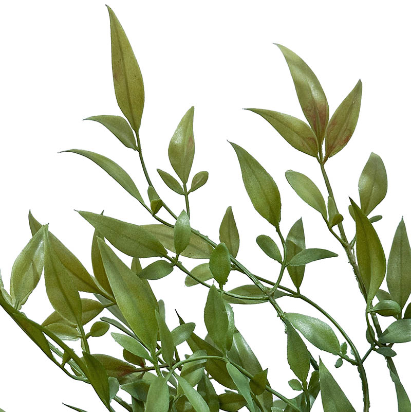 Kunstig musetorn, roscus træ i plast med grønne blade, closeup af bladene