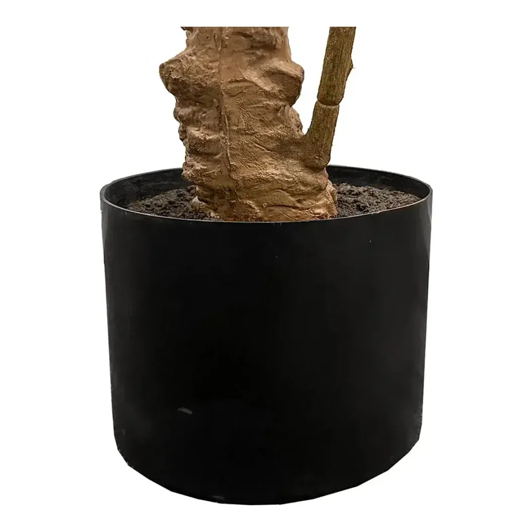 Kunstig musetorn, roscus træ i plast med grønne blade og sort plast potte 180cm closeup af potte
