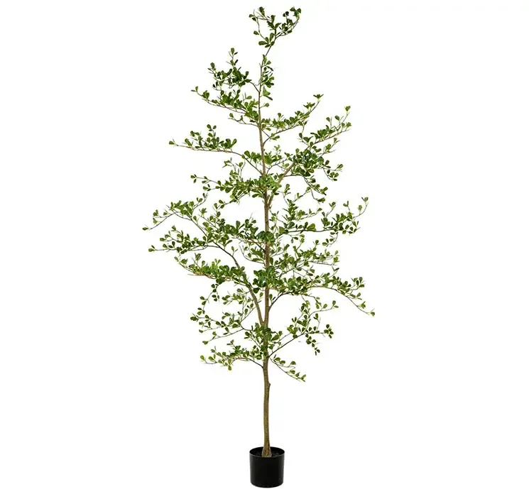 Kunstig Oliventræ, Bucida, i grøn