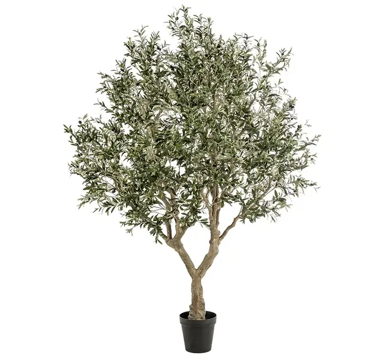 Kunstig oliventræ i 250 cm højde