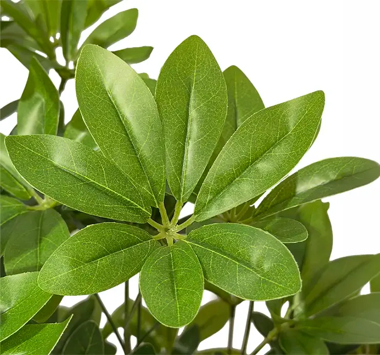 Paraplytræ også kaldet schefflera af plast i grøn kunstig closeup