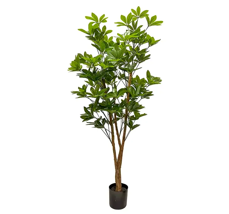 Paraplytræ også kaldet schefflera af plast i grøn kunstig