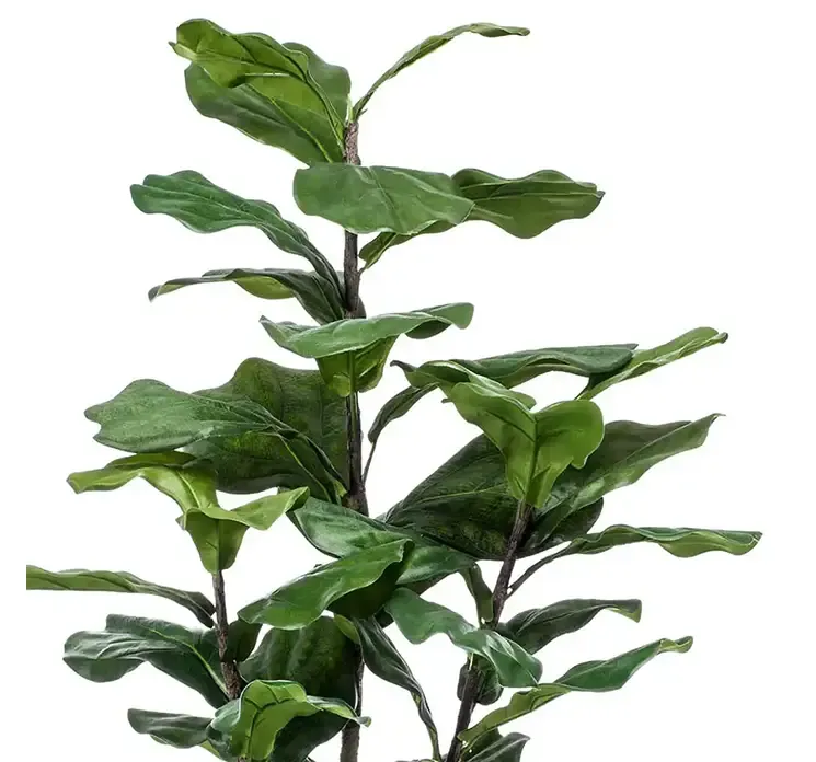 Figentræ i potte af plast, kunstig plante closeup