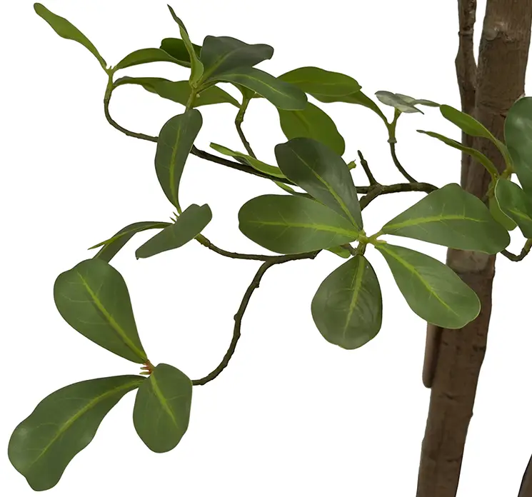 Terminalia kunstig træ af plast i grøn i sort potte 205cm closeup