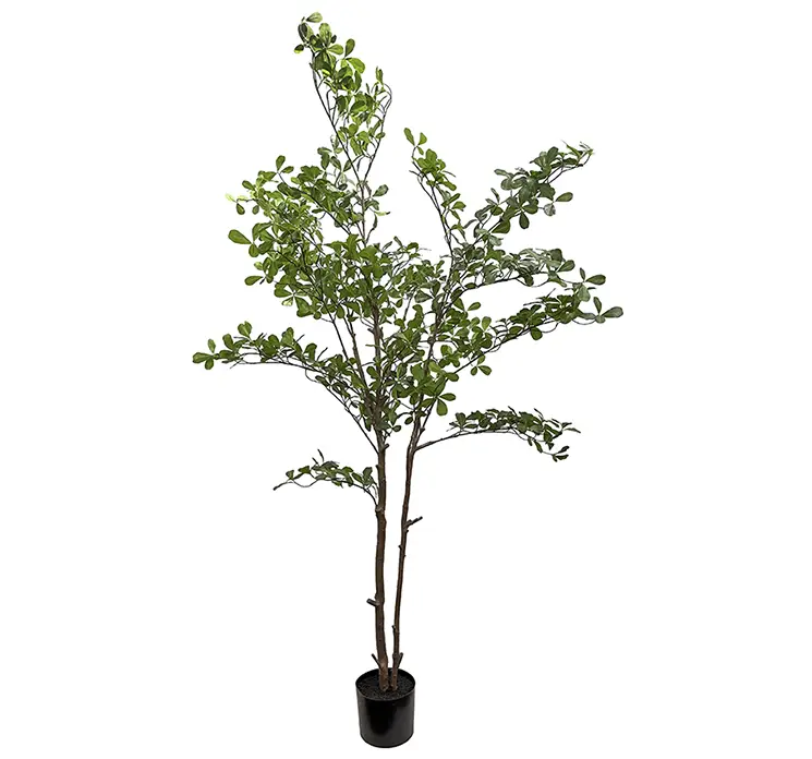 Terminalia kunstig træ af plast i grøn i sort potte 205cm