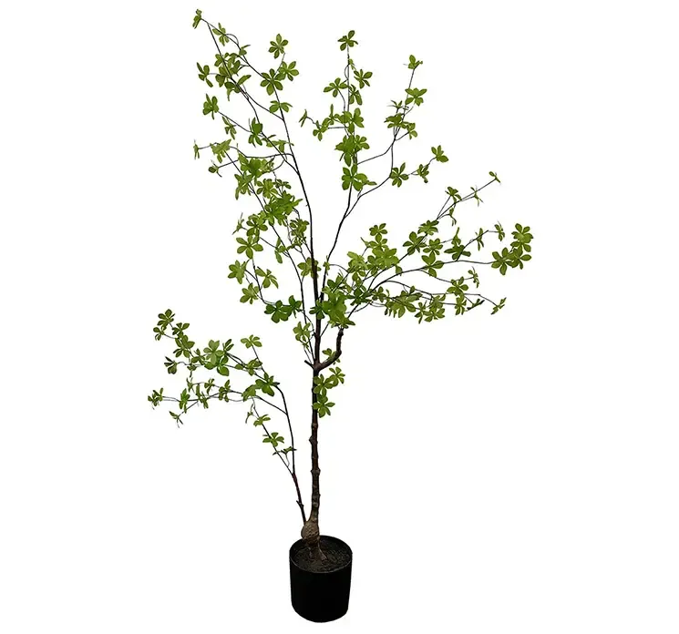 Tropaeolum speciosum kunstig træ af plast med sort potte