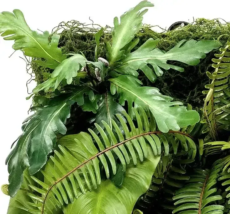 Kunstig plantevæg på plade med mos og planter i grøn closeup