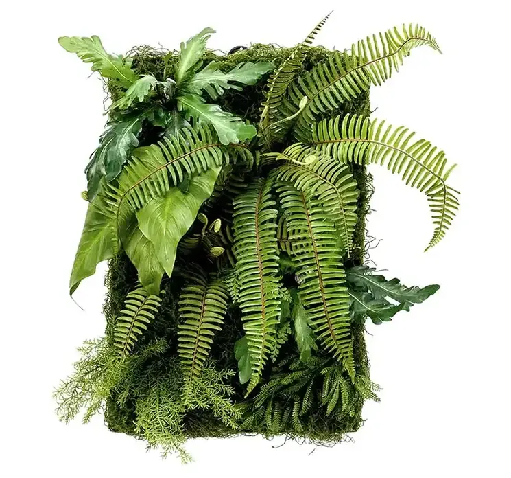 Kunstig plantevæg plade med mos og planter i grøn