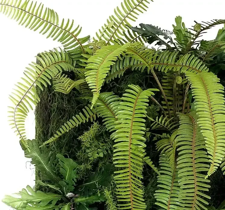 Kunstig plantevæg med mos og planter på plade closeup