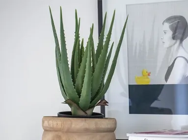 Kunstig aloe vera plante i potte