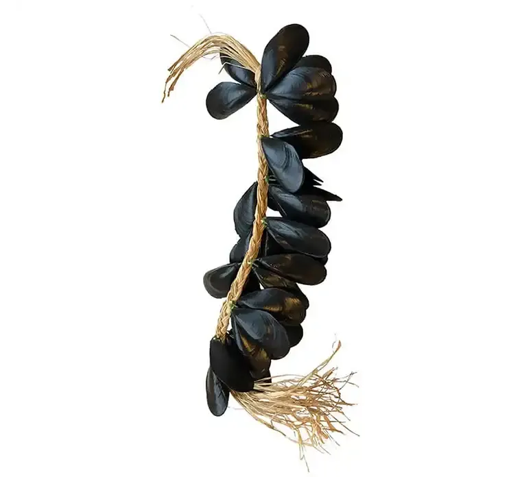 Blåmuslinge ranke i sort af plast hængt på bast reb