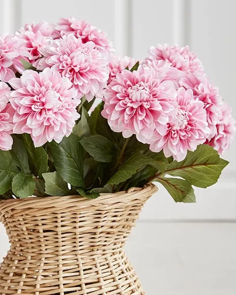 Skønne kunstige dahlia / georginer blomster i lyserød