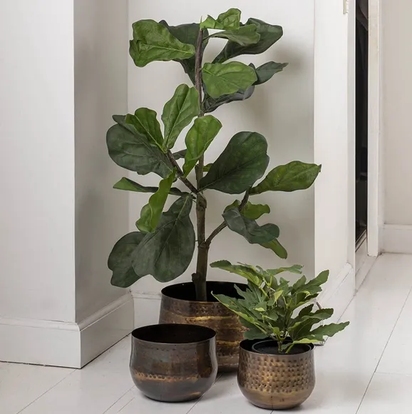 Kunstige figenplanter i potte