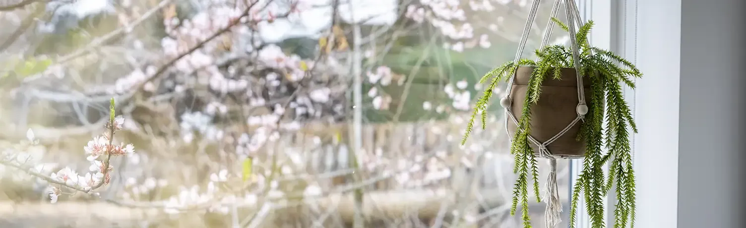 Brøndsholm - kunstige hængeplanter