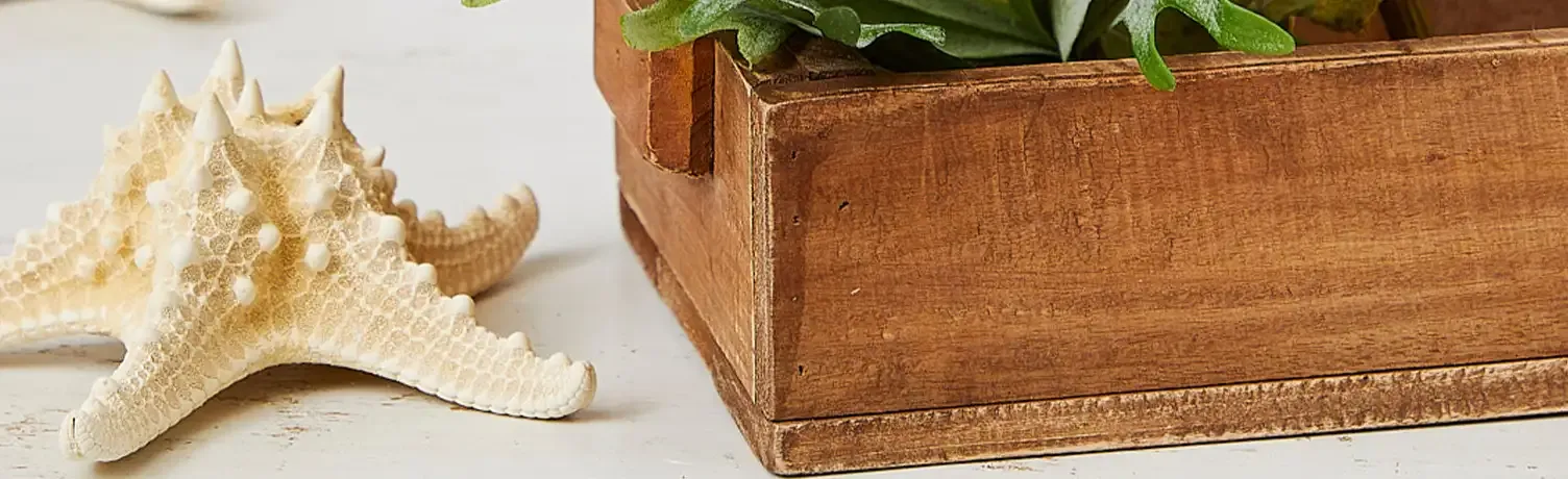 Brøndsholm - kunstige havdyr - søstjerne