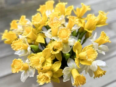 Kunstige og naturtro påskeliljer i hvide og gule i vase